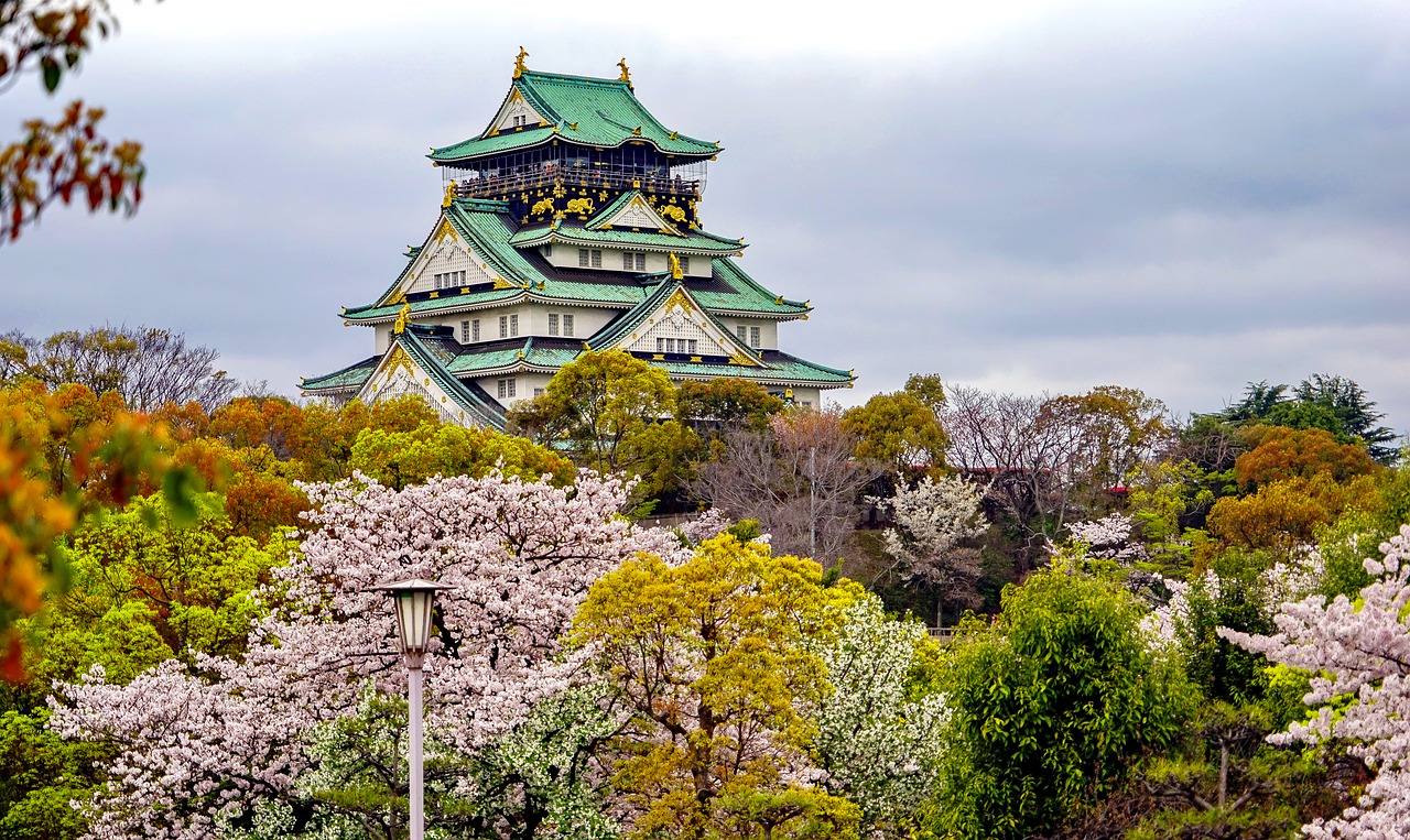鹤岗追寻梦想的起点：为何选择高考后去日本留学？